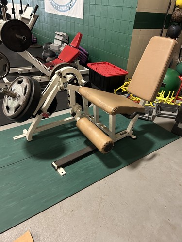 Magnum plate loaded leg - plate,